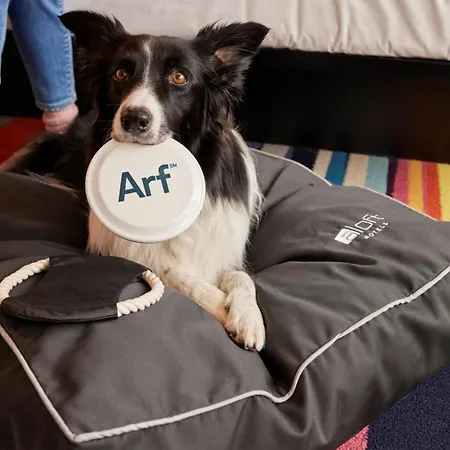 Aloft By Marriott Dublin