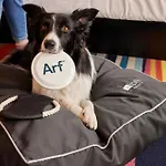 Aloft Dublín